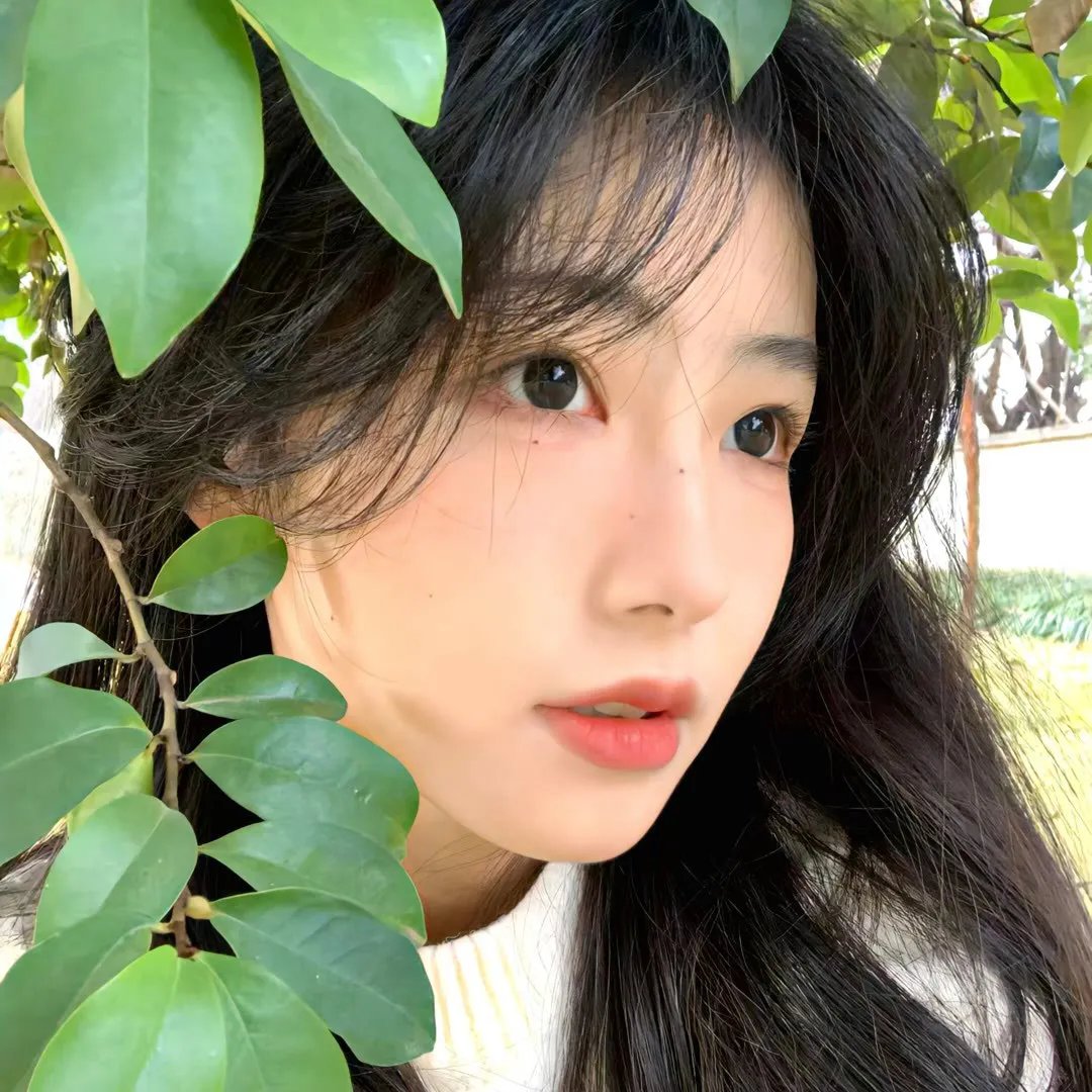 山河披锦绣