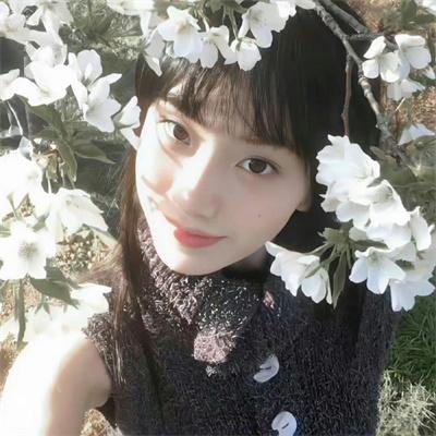 灵能百分百第二季